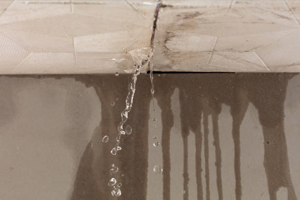 Professional Burst Pipe Cleanup technician working in Glenside, PA